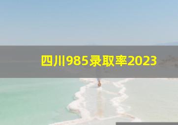 四川985录取率2023