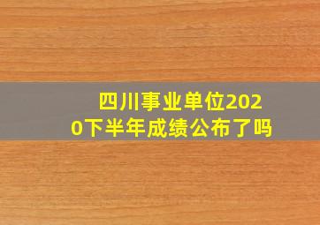 四川事业单位2020下半年成绩公布了吗