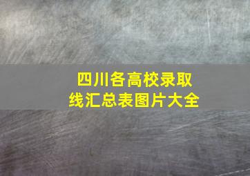 四川各高校录取线汇总表图片大全