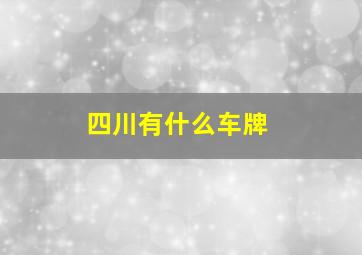 四川有什么车牌