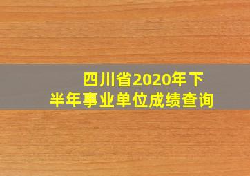 四川省2020年下半年事业单位成绩查询