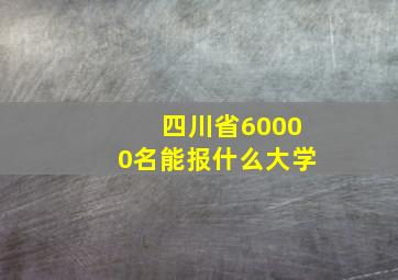 四川省60000名能报什么大学