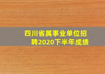 四川省属事业单位招聘2020下半年成绩