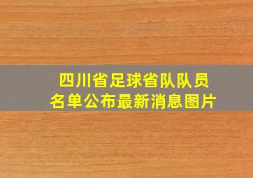 四川省足球省队队员名单公布最新消息图片