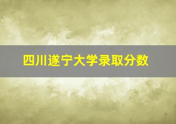 四川遂宁大学录取分数