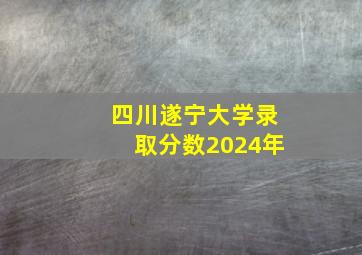 四川遂宁大学录取分数2024年