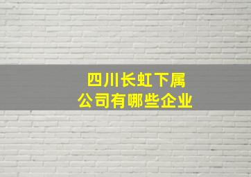 四川长虹下属公司有哪些企业