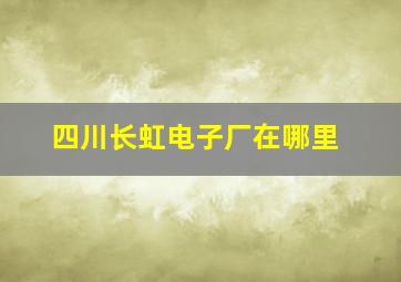 四川长虹电子厂在哪里