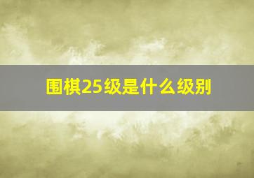 围棋25级是什么级别