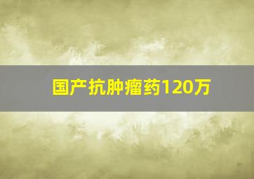 国产抗肿瘤药120万