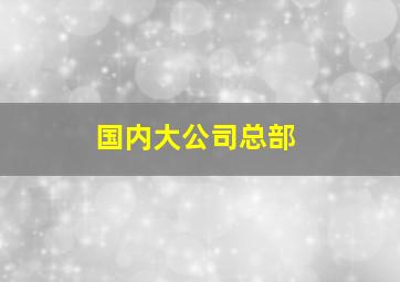 国内大公司总部