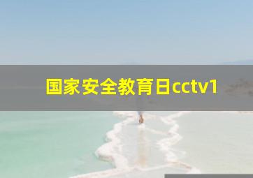 国家安全教育日cctv1