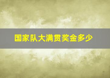 国家队大满贯奖金多少