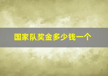 国家队奖金多少钱一个