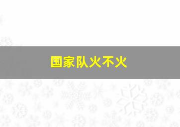 国家队火不火