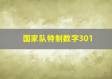 国家队特制数字301