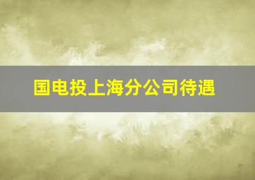 国电投上海分公司待遇