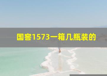 国窖1573一箱几瓶装的