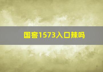 国窖1573入口辣吗