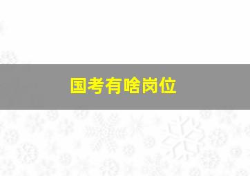 国考有啥岗位