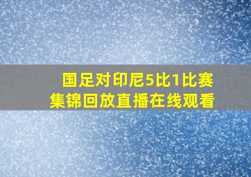 国足对印尼5比1比赛集锦回放直播在线观看