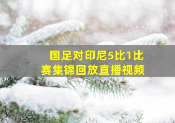 国足对印尼5比1比赛集锦回放直播视频