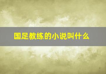 国足教练的小说叫什么