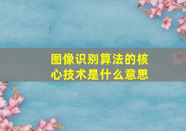 图像识别算法的核心技术是什么意思