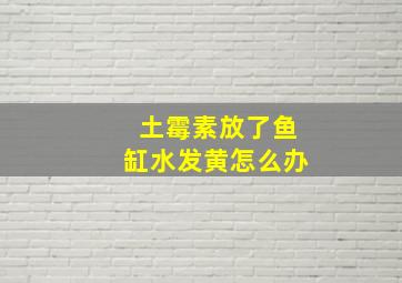 土霉素放了鱼缸水发黄怎么办