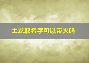 土龙取名字可以带火吗