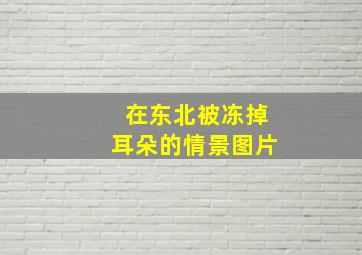 在东北被冻掉耳朵的情景图片