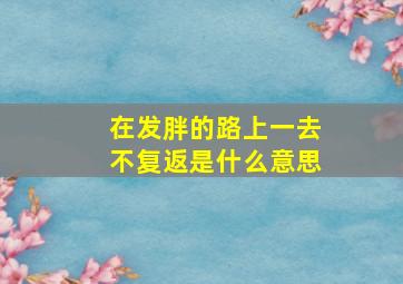 在发胖的路上一去不复返是什么意思