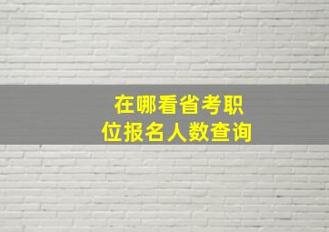 在哪看省考职位报名人数查询