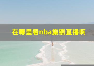 在哪里看nba集锦直播啊