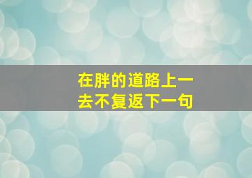 在胖的道路上一去不复返下一句