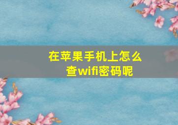 在苹果手机上怎么查wifi密码呢