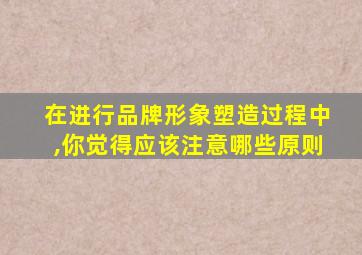 在进行品牌形象塑造过程中,你觉得应该注意哪些原则