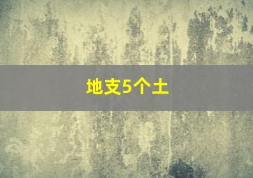 地支5个土