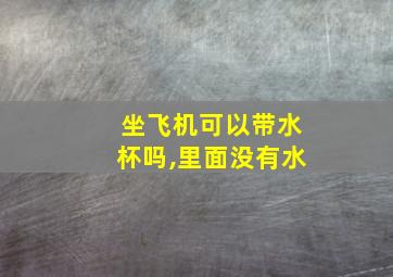 坐飞机可以带水杯吗,里面没有水