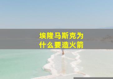 埃隆马斯克为什么要造火箭