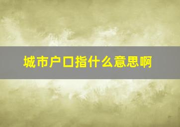 城市户口指什么意思啊