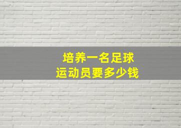 培养一名足球运动员要多少钱