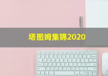 塔图姆集锦2020