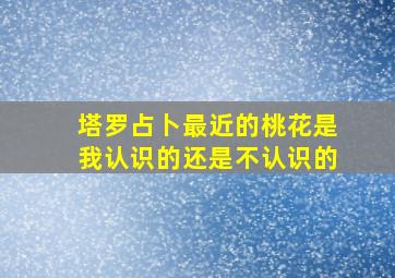 塔罗占卜最近的桃花是我认识的还是不认识的