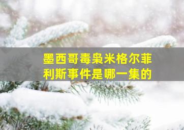 墨西哥毒枭米格尔菲利斯事件是哪一集的