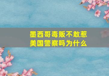 墨西哥毒贩不敢惹美国警察吗为什么