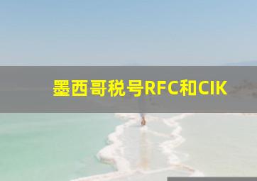 墨西哥税号RFC和CIK