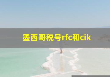 墨西哥税号rfc和cik