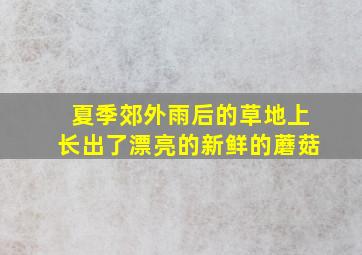 夏季郊外雨后的草地上长出了漂亮的新鲜的蘑菇