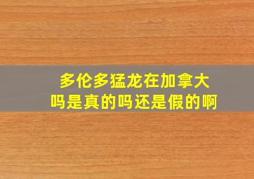 多伦多猛龙在加拿大吗是真的吗还是假的啊